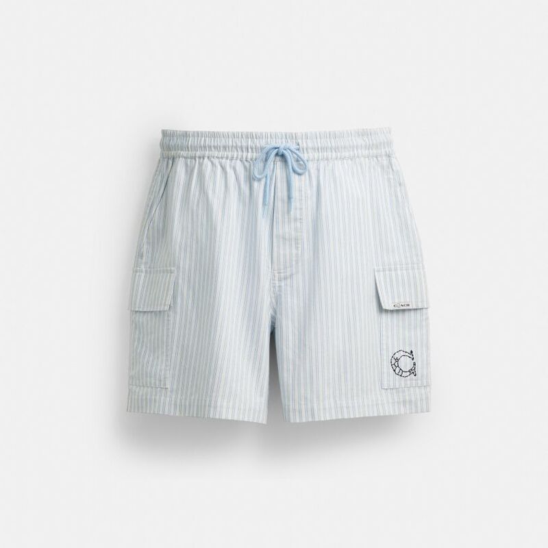 In-Stock Items at the Counter, Platform Authentication, Four Times Compensation for Any Fake Items, Coach |   Brain Dead Striped Outdoor Shorts