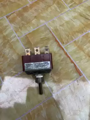Original Japanese imported twist switch 250V 6A