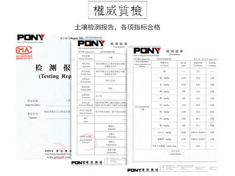 麻城福白菊获得的权威认证证书