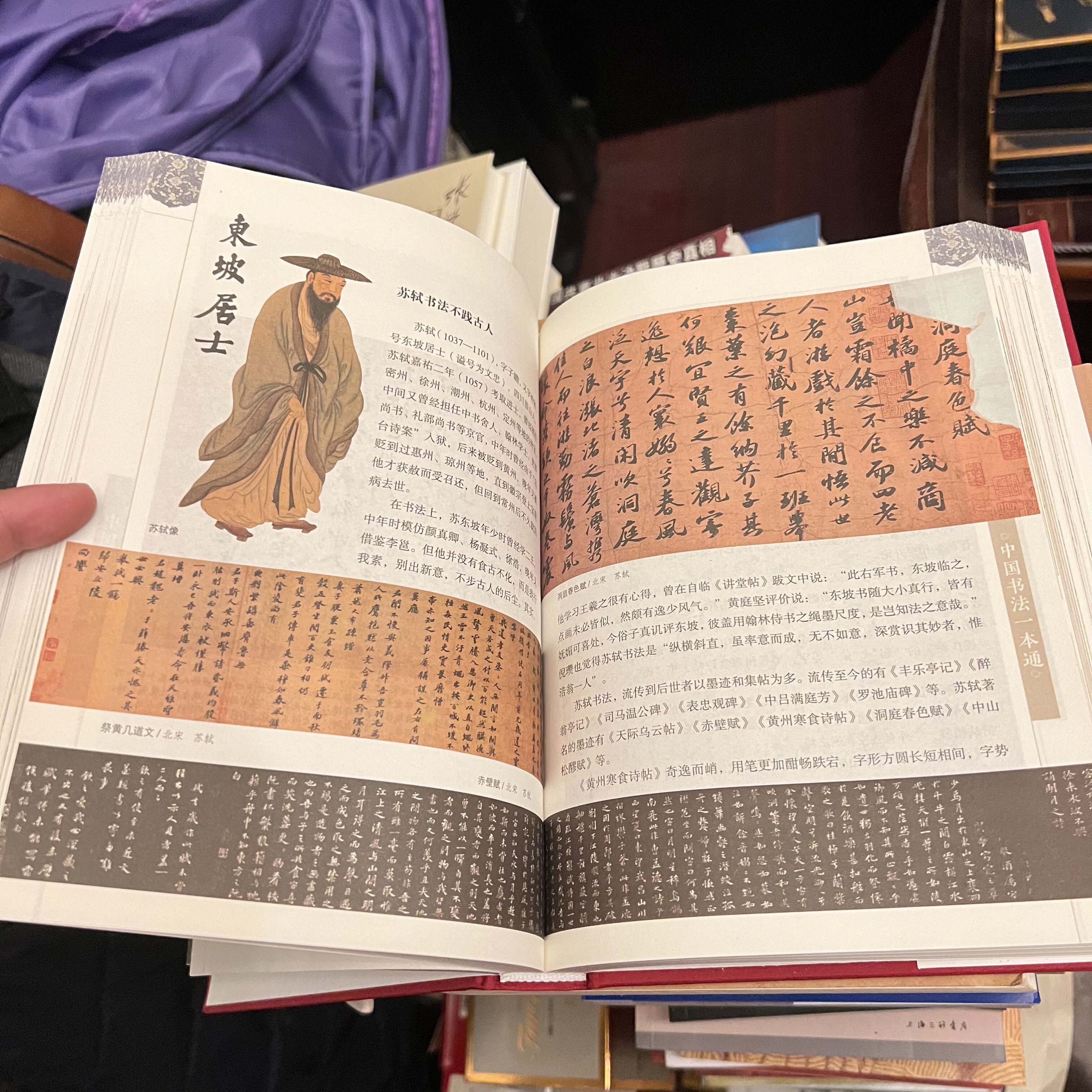中国书法一本通大全正版精装中国历代书法篆书楷书入门历代名家王羲之等