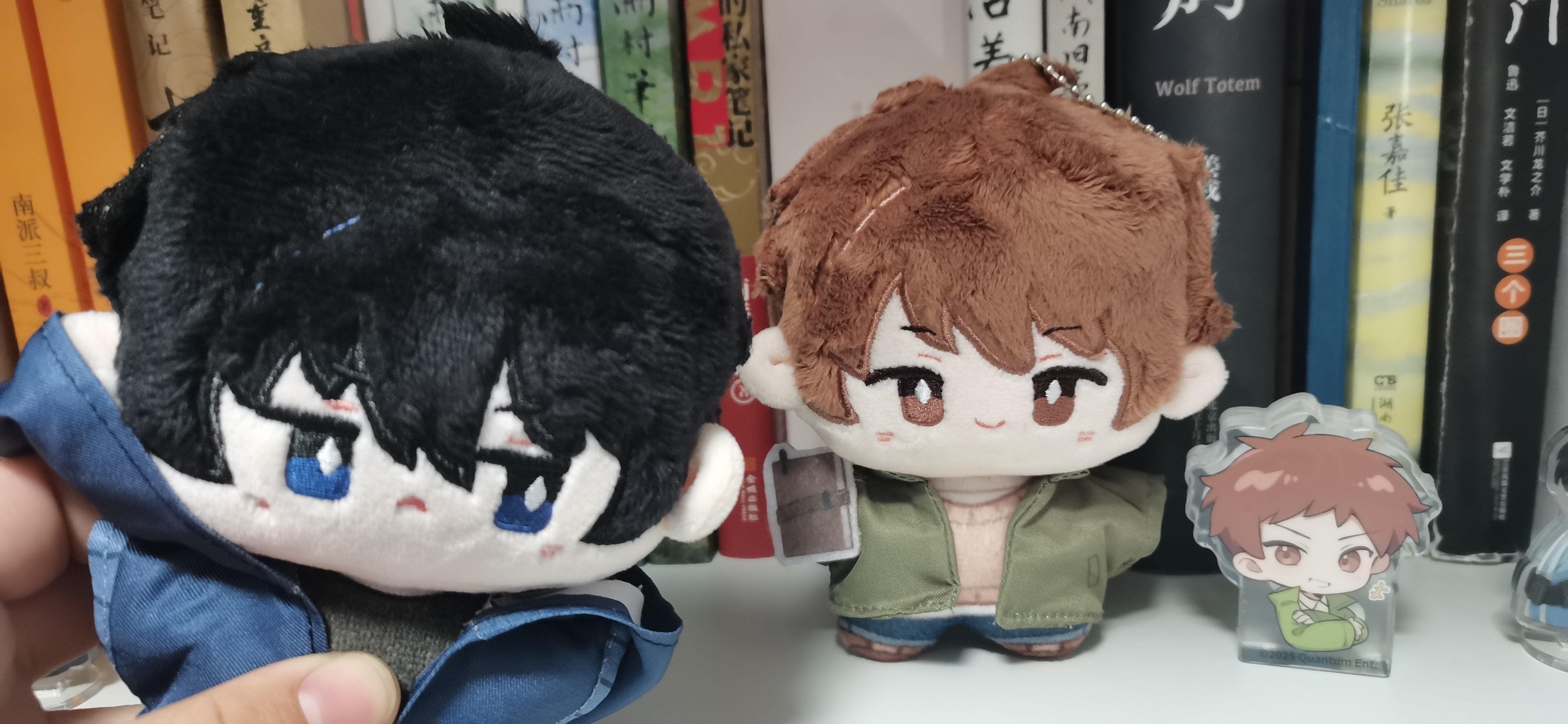 盗墓笔记以梦寻影盲盒歪瓜出品毛绒公仔吴邪张起灵潮玩