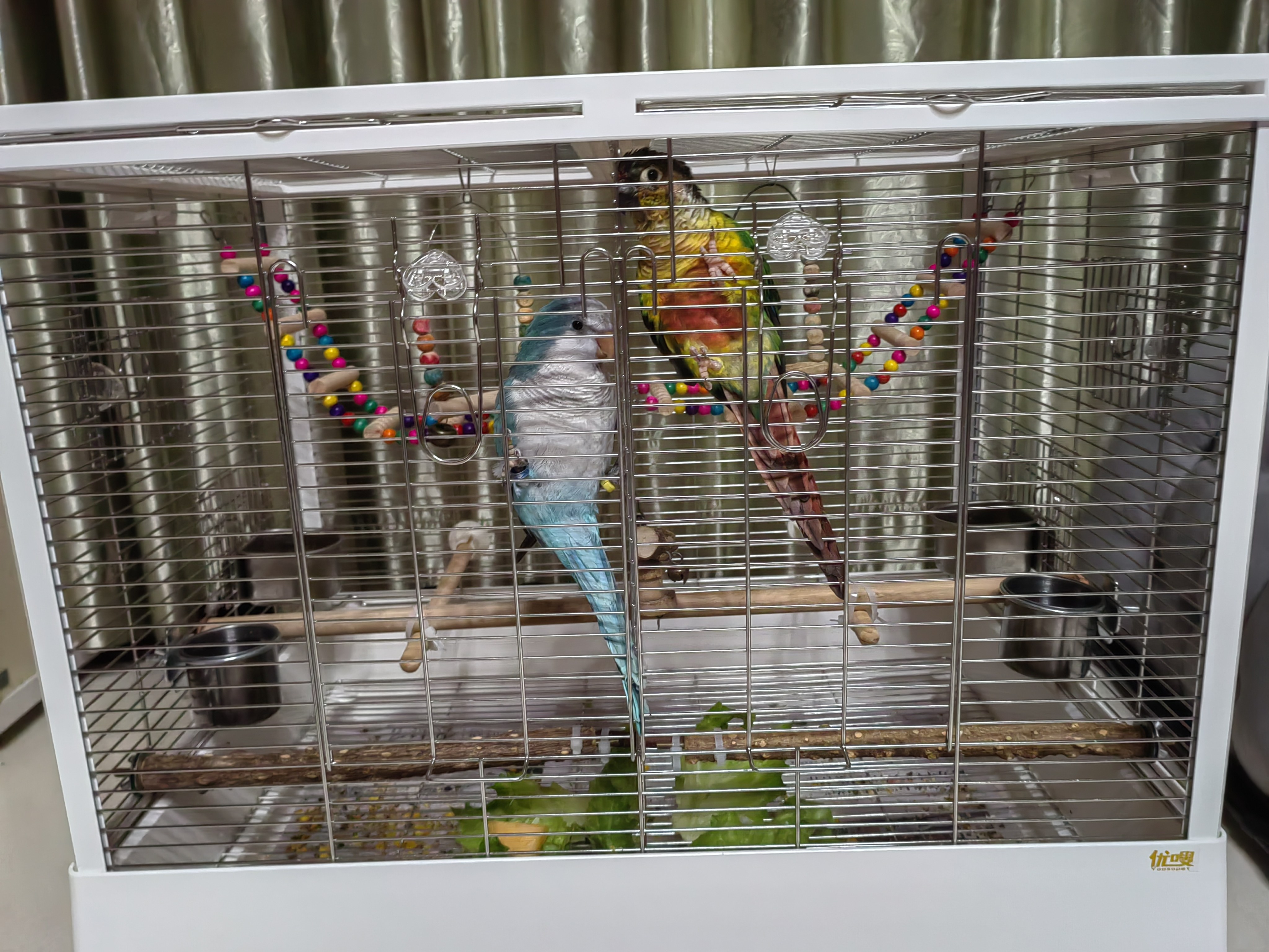 304不鏽鋼玄鳳鳥籠家用大號優嗖鳥籠可疊放可加高雙層鳥籠-Taobao-Tmall