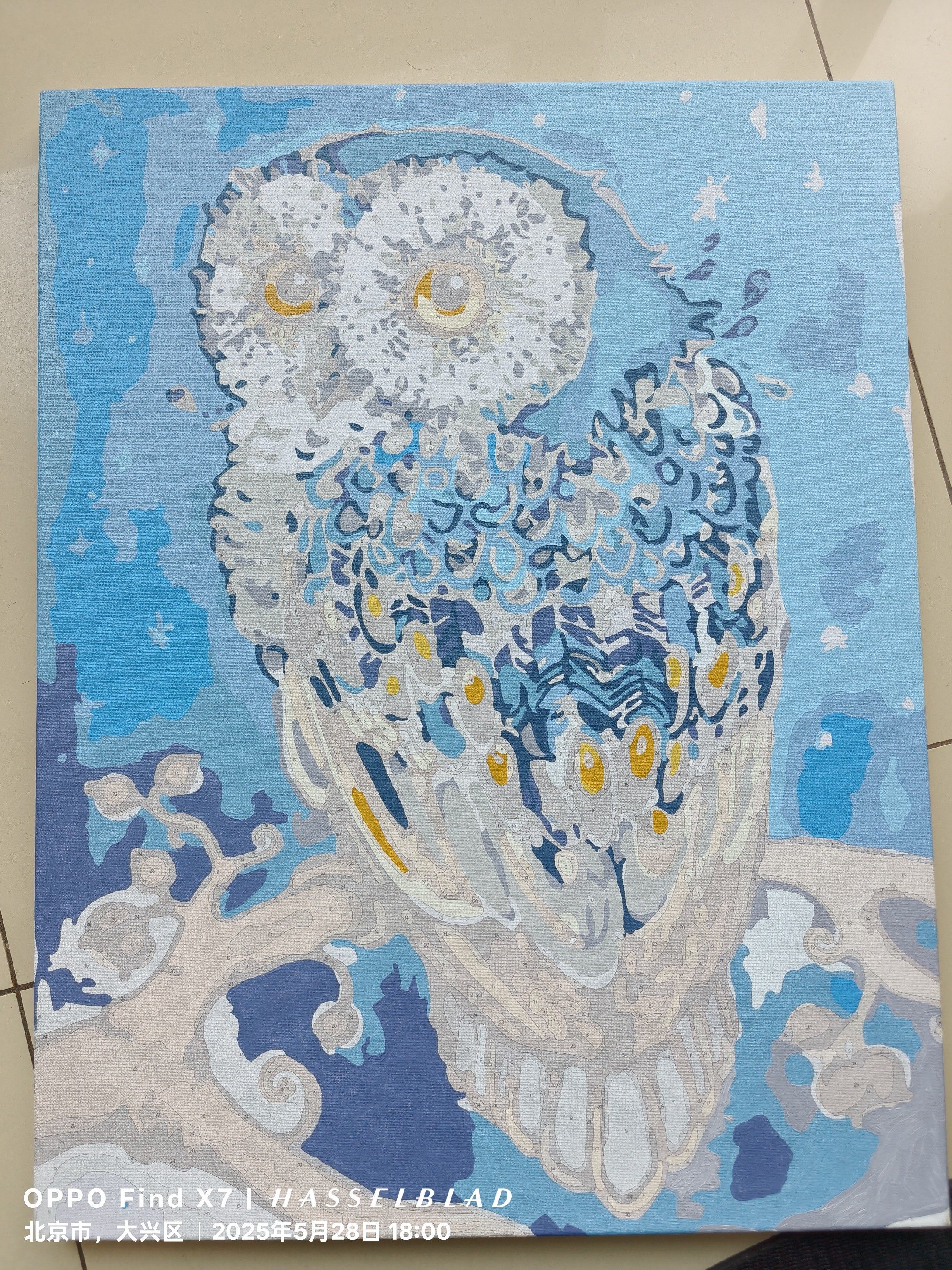 猫头鹰丙烯数字油画DIY适合客厅玄关装饰的彩版画布组合