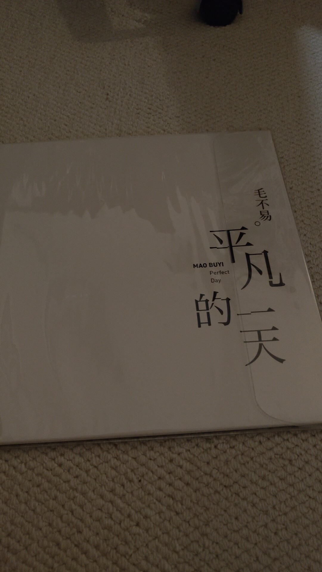 正版毛不易专辑平凡的一天LP黑胶唱片老式留声机12寸碟片唱盘-淘宝