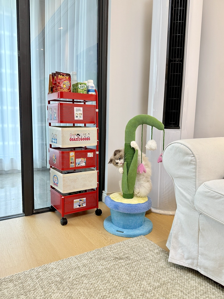Tmall buyer photo