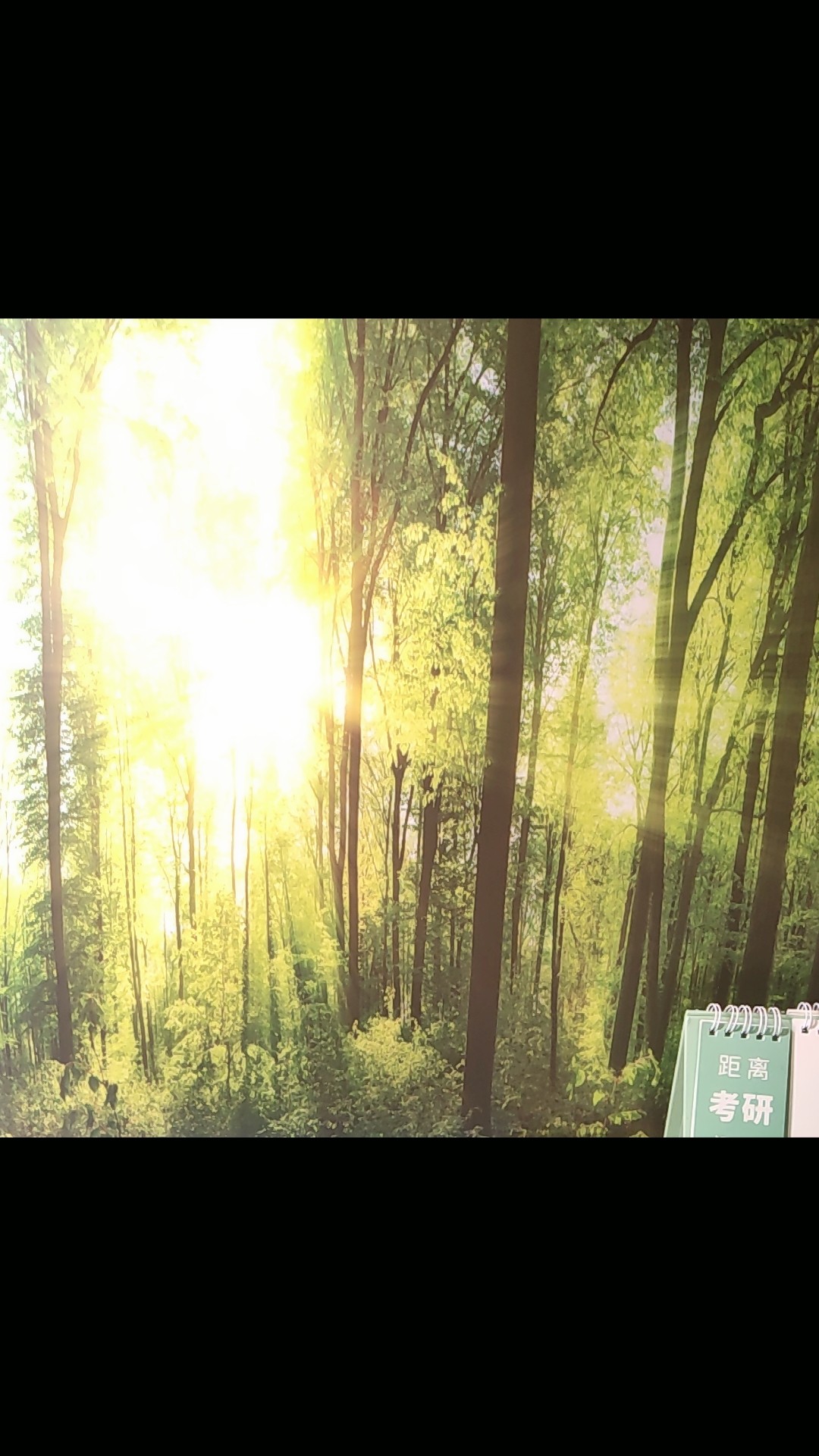 森林风景背景自粘贴画绿色草地自然风格现代简约无框PP纸印刷护眼森林图案装饰画, image size:1080x1920