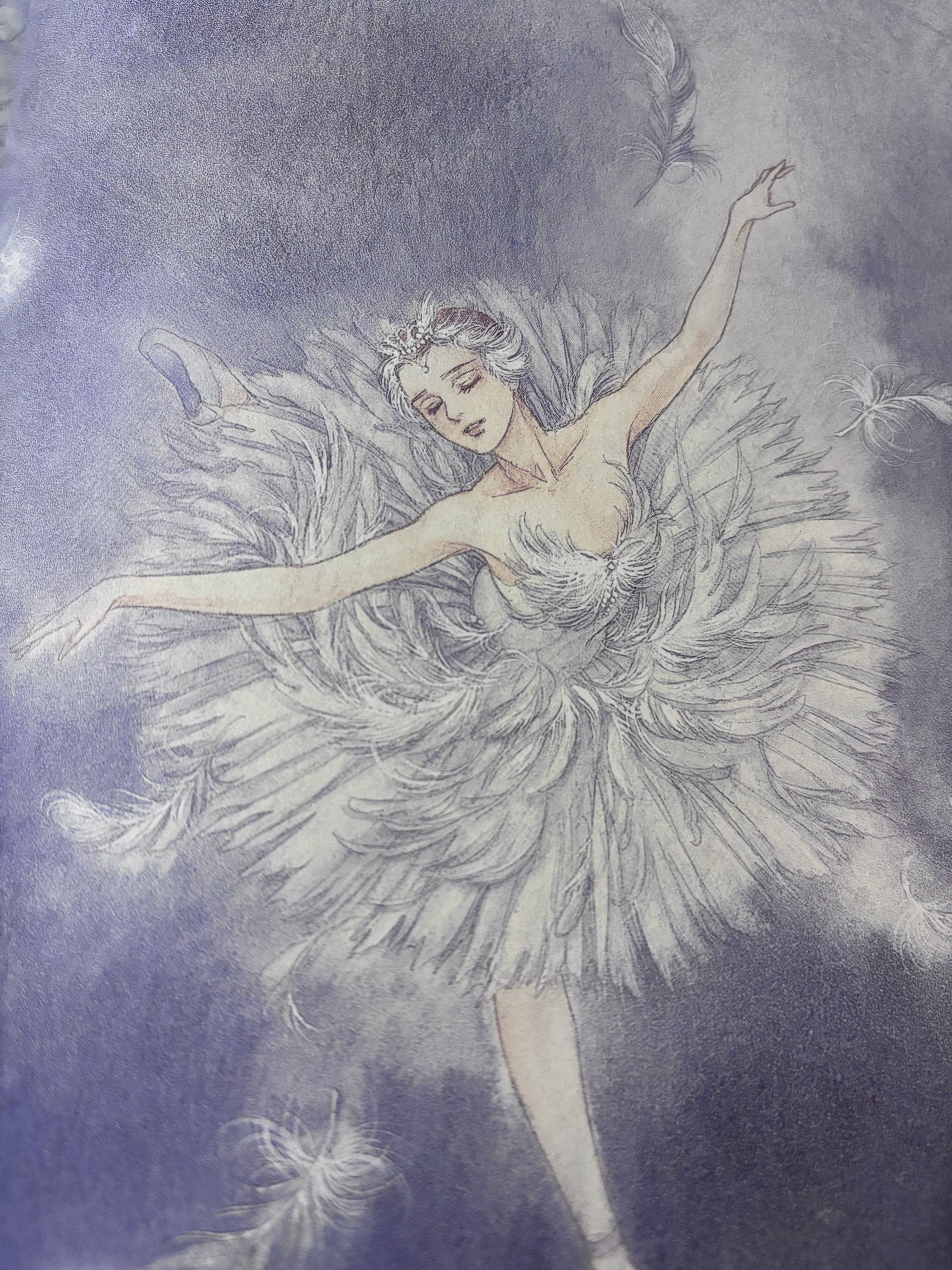 现货】有吉京子画集SWAN: SWAN─白鳥─&まいあ完結記念-淘宝Taobao