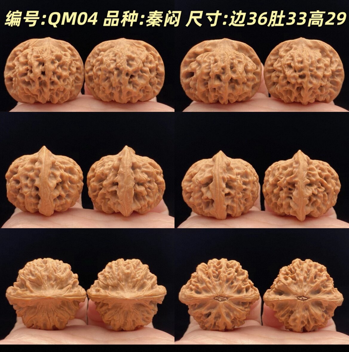 秦闷狮子头文玩核桃精品陕西野生老树秦岭闷尖把玩麻核桃一物一图-淘宝
