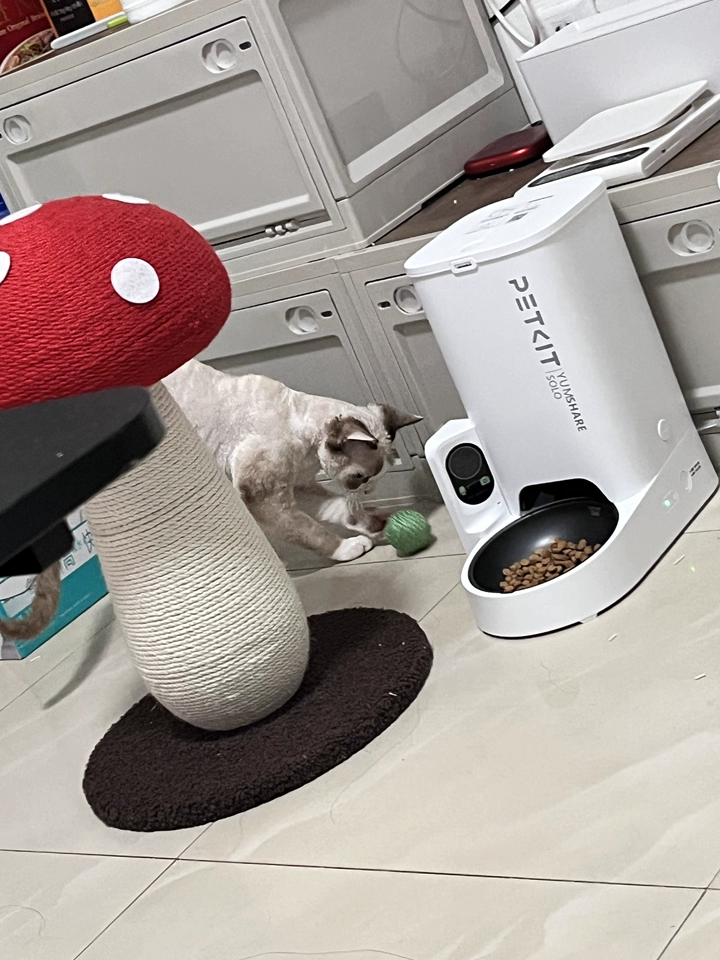 Tmall buyer photo