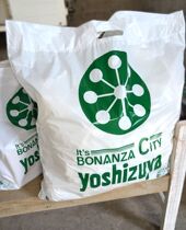 Special foreign trade custom Yijin House plastic bag gift bag portable shopping bag home clothing bag special bag