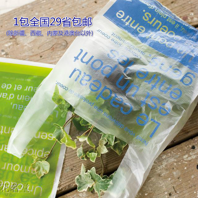 Flower Hall Pla Transparent Plastic Hand Bags Supermarket Shopping Bags Food Packing Bags Horse Clips Bags Wholesale 100 Clothing Bags