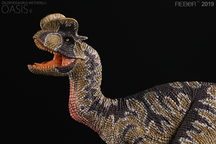 Anh REBOR chính hãng mô hình khủng long mô phỏng đồ chơi Jurassic World đôi vương miện rồng đôi rồng đôi nền tảng - Đồ chơi gia đình đồ chơi trí tuệ cho bé