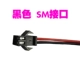 SM Public Plug