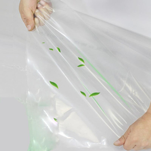 膜样品+高质量洗刷大王8个