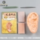 Ушной патч+1 3 см уши+книги+взаимный ручка+Graphis