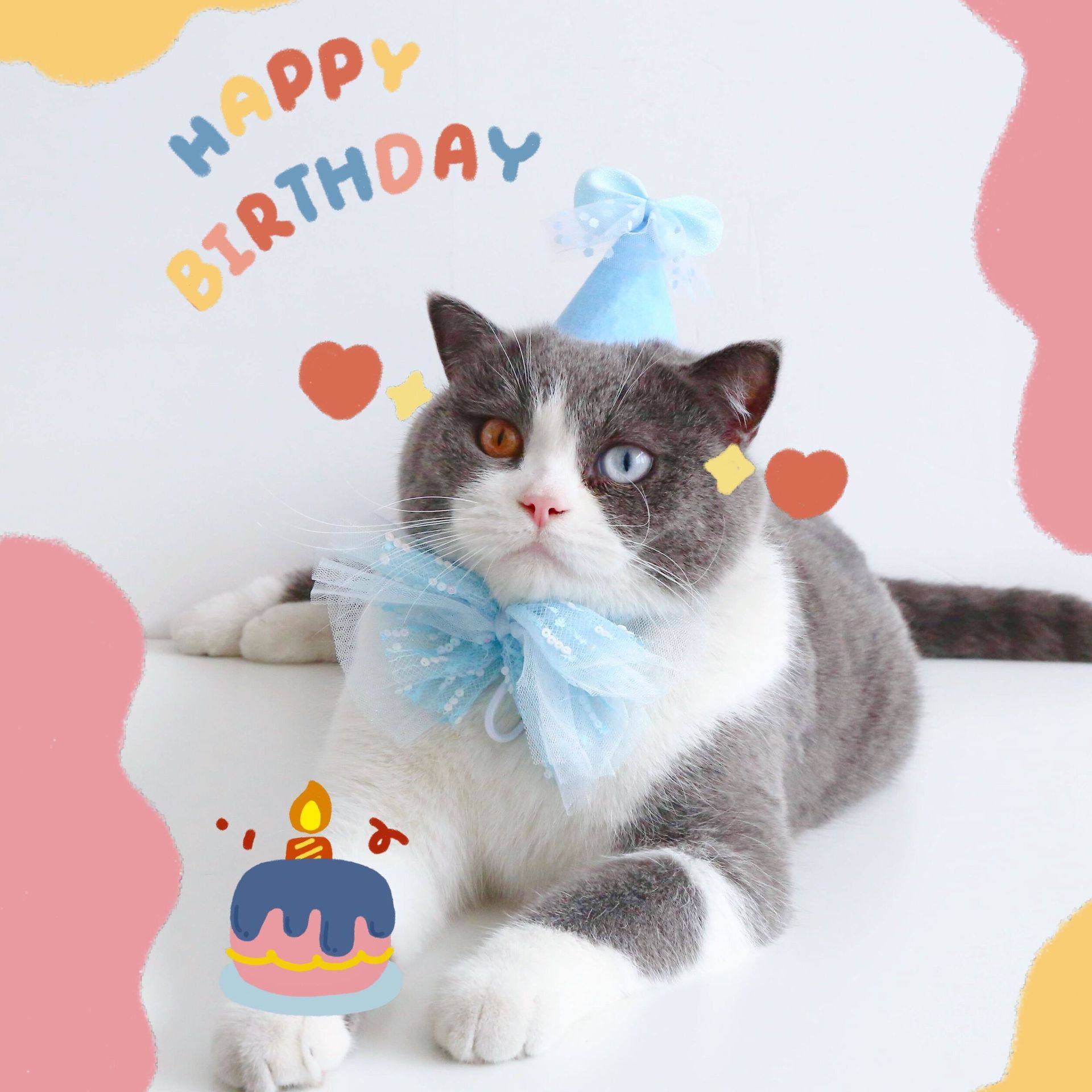 Meow props cat birthday non-woven powder yellow and blue bow birthday hat tie knot decoration party photo