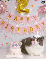 (Meow Meow Props) 3 m Bronzed Fish Tail Flag Birthday Letter Laqi Kitty Cat Party Decoration Arrangement Flag Laps