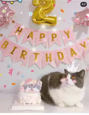 (Meow meow props)3 meters hot goldfish tail flag birthday letter flag Cat party decoration flag strip