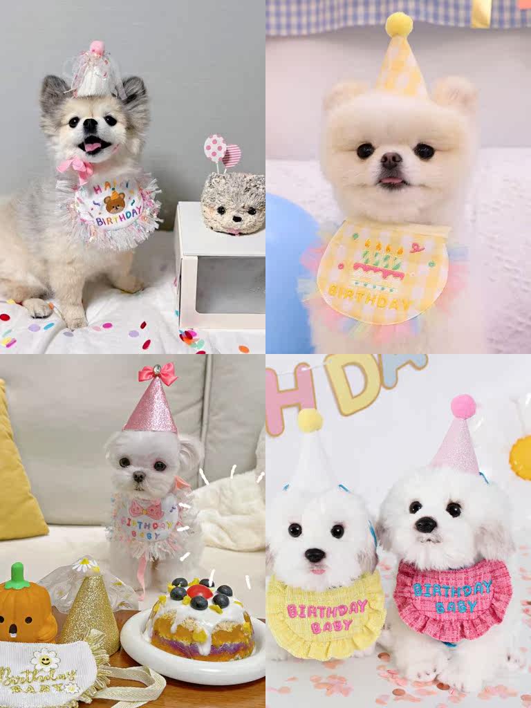 Meow Meow Props South Korea Kitty Party British Short Gold Gradually Layer Silver Gradually Layer Purse Pets Birthday Triangle Towels Around The Neck