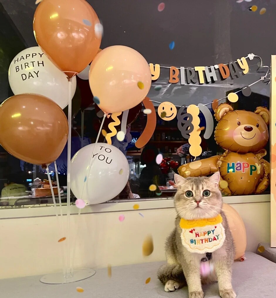 INS Wind Korea Birthday Flag Cute Roll Flag Red Pet Cat Party Decoration Background Wall