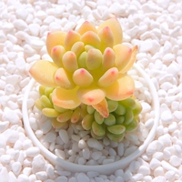 4-5cm