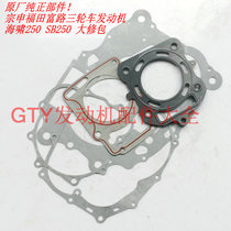 Zongshen Futian Fu Road motorcycle engine tricycle water-cooled tsunami 250 SB250 engine overhaul kit