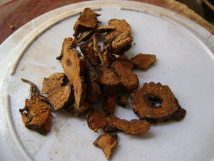 99 Chinese herbal medicine land elm 500 gr