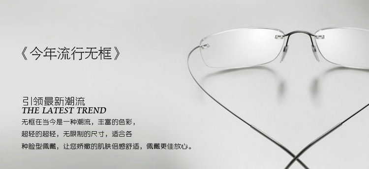 Montures de lunettes en Titane pur - Ref 3142062 Image 88