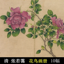 Qing Dynasty Flower and Bird Atlas Zhang Ruoyi high-definition picture collection no bones small freehand painting ancient painting Chinese painting copy material