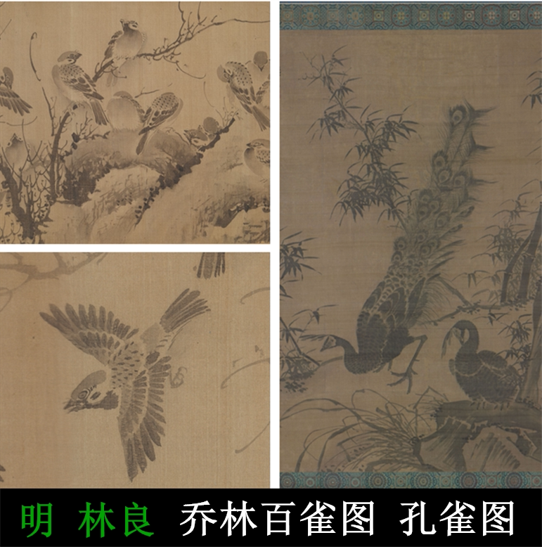 Linliang Qiao Lin 100 nestles curly volume Peacock high-definition electronic big picture ink Write a tree stone flower and bird famous painting material
