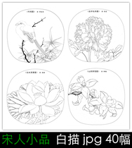 Song sketch Gongbi white sketch background High-definition electronic version of Song painting flower and bird line drawing draft copy design material beginner