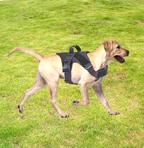 Horsedog traction rope dog vest-type chest strap large dog Golden Maud herd anti-break unburst clothes to walk dog rope