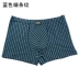 Han Sili Quần sọc nam sọc chính hãng Quần cotton thời trang Quần thun cotton 6 thương hiệu đồ lót nam Nam giới