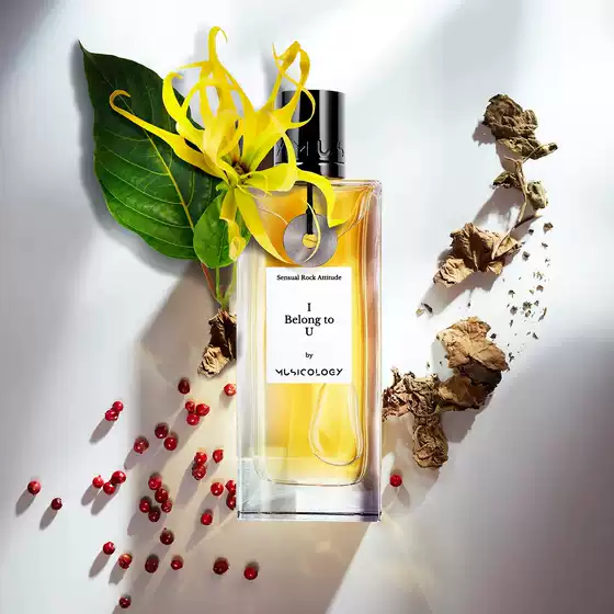 Sample Fragrance Official Authorized French Niche Art Perfume Musicology Musicology Fresh and Practical Neutral