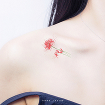 She painted the ancient wind the other side Flower small pattern collarbone tattoo patch semi-permanent chest ankle waterproof female durable 3d