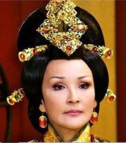 Extension cheveux - Chignon - Ref 239562 Image 4