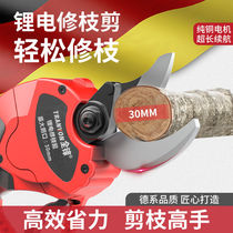 Electric hand-held scissors trimming tree tree tree home garden garden lithium charging scissors