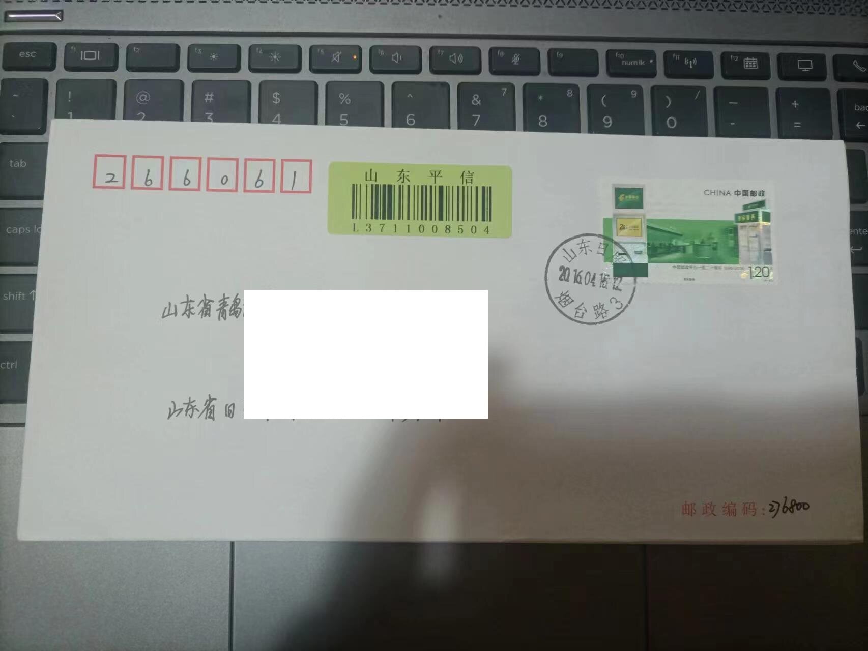 山东平信挂投绿色标签山东日照L山东平信条签条实物L8504