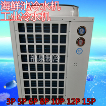Fish Pond Thermostatic Freezer 3HP-15P Industrial Cold Water Unit Fish Pond Refrigerator Seafood Chiller