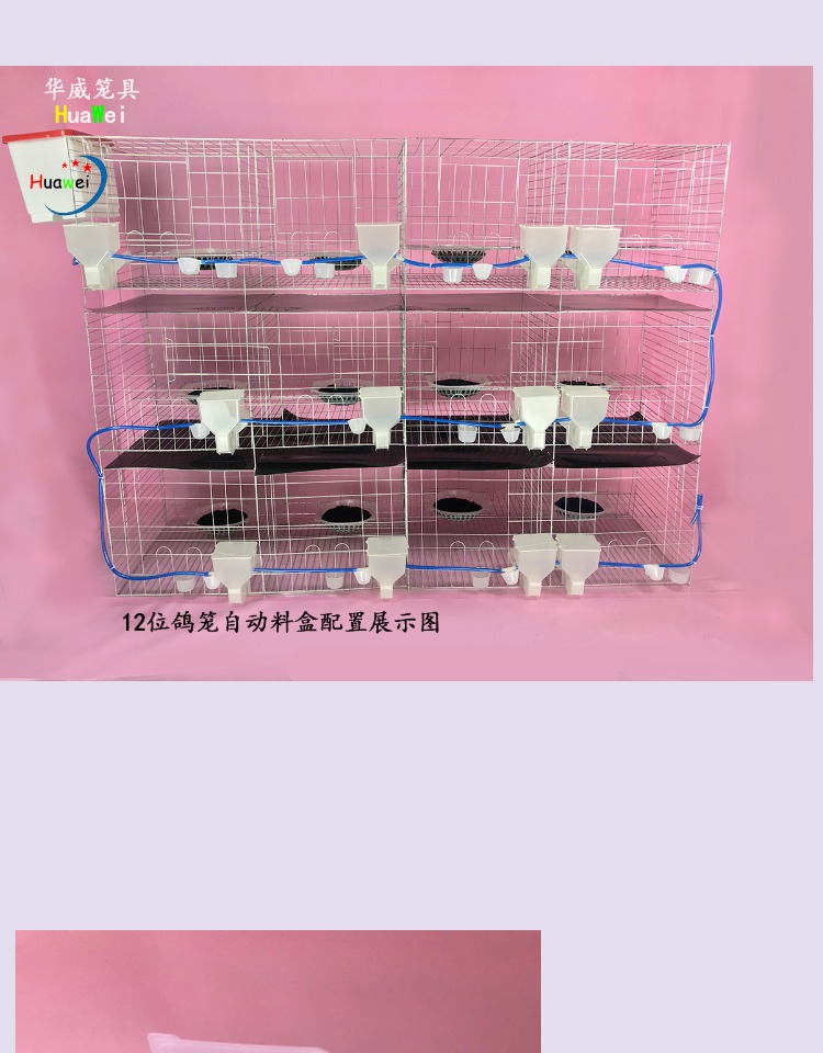 Lồng chim bồ câu cung cấp dày một và hai miệng hộp thực phẩm tự động hộp cắt thiết bị cho ăn máng máng chống phân tán - Chim & Chăm sóc chim Supplies 	cám cho chim thanh tước