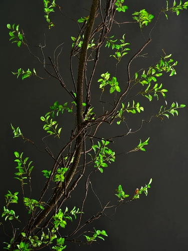 Моделирование осеннего листового виноградного воздуха -кондиционирования труб