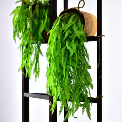 Simulation fern grass fake grass wall hanging fake flower rattan decorative plastic flower hanging flower green plant hanging ceiling wall tropical plant