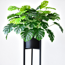 Simulation turtle back bamboo leaves Brazilian Wood Green plant potted fake flower ornaments Wall plant decoration interior plastic green