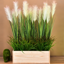 Simulation reed grass pot dog tail grass water grass fake flower decorative green plant bonsai plant Plastic flower dried flower living room