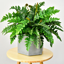 Artificial fern fern leaves Persian grass kidney fern grass green plant wall decoration flowers mountain fake flowers small potted leaves