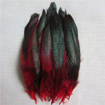 Special chicken feather handmade materials for making shuttlecocks feathers for primary school students kindergarten adult DIY production feathers