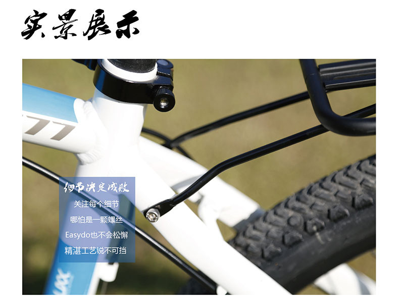 Porte-bagages pour vélo EASYDO - Ref 2411199 Image 8