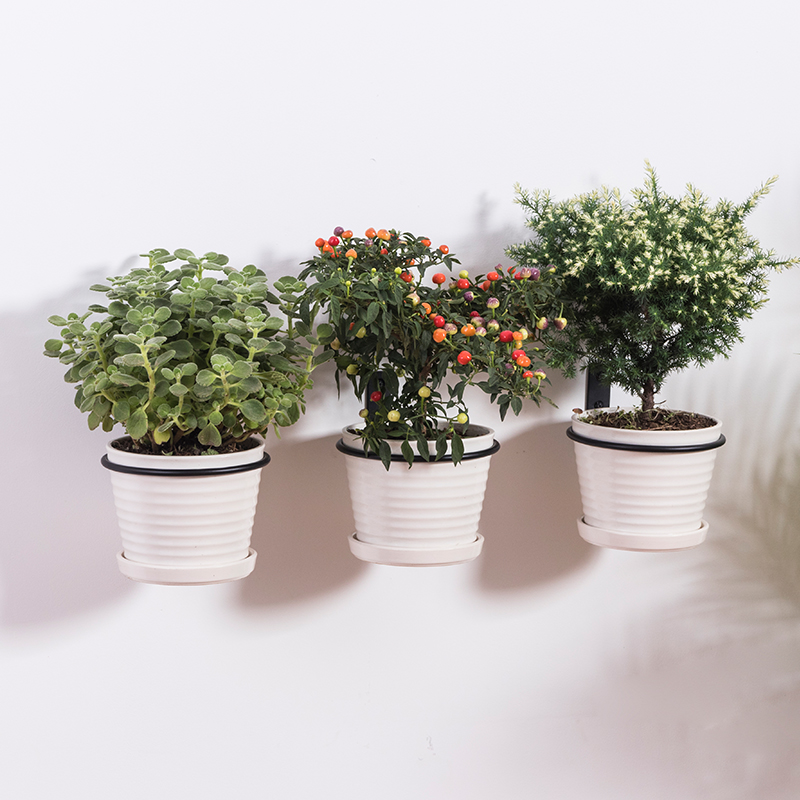 Ourunzh Drilling Wall Handling Balcony Hanging Balcony Hanging Roll Iron Frame Ring 3 packed