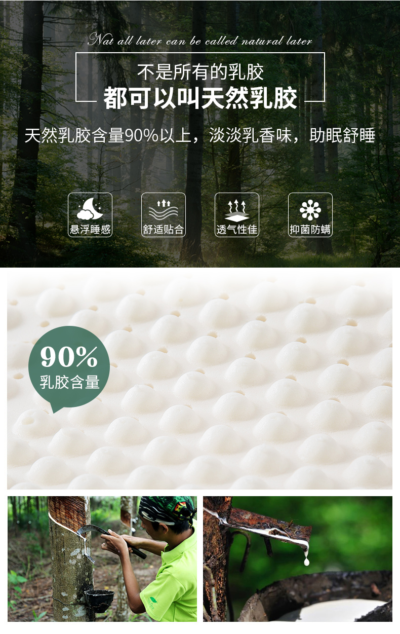 中国十大家纺，90%天然乳胶：紫罗兰 天然乳胶枕 49元起包邮 买手党-买手聚集的地方