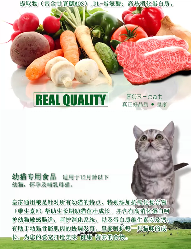 Pre-sales Royal Cat Food K36 Gói mẫu 50g * 10 Gói Mèo cho con bú Mang thai 40 Gói - Cat Staples